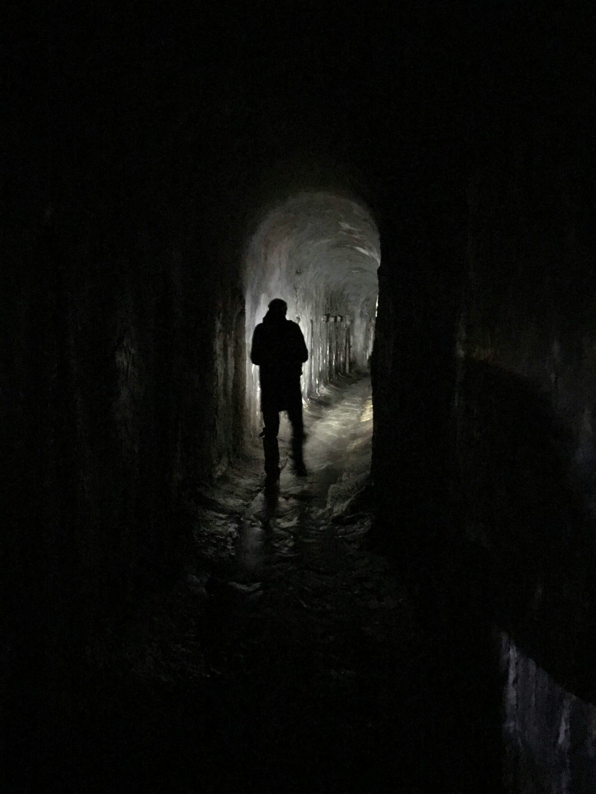 Finding the Light
